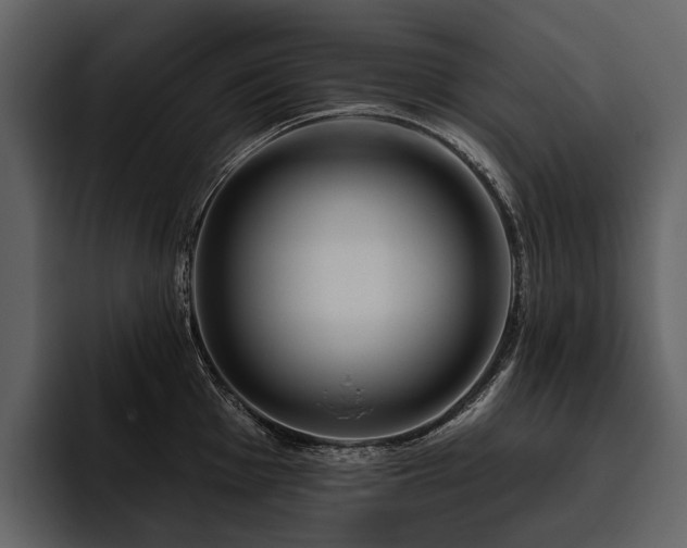 X0000095921001200801111231