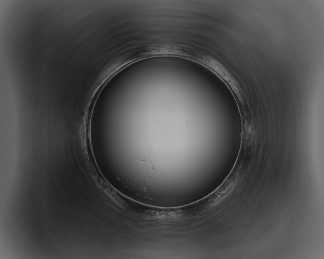 X0000095921002200801111231