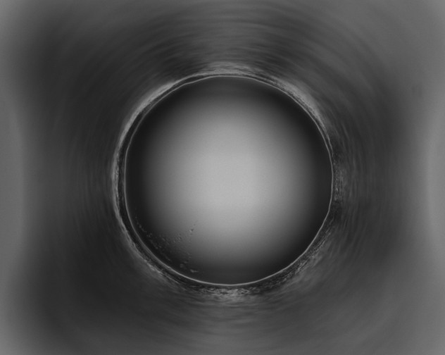 X0000095921003200801111231
