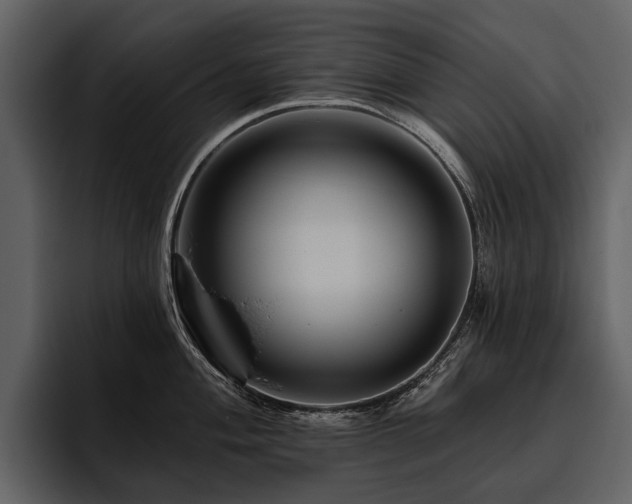 X0000095921004200801111231