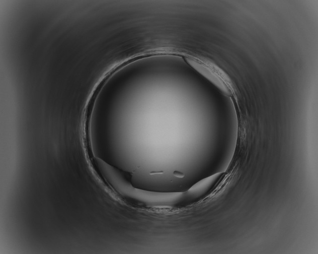 X0000095921005200801111231