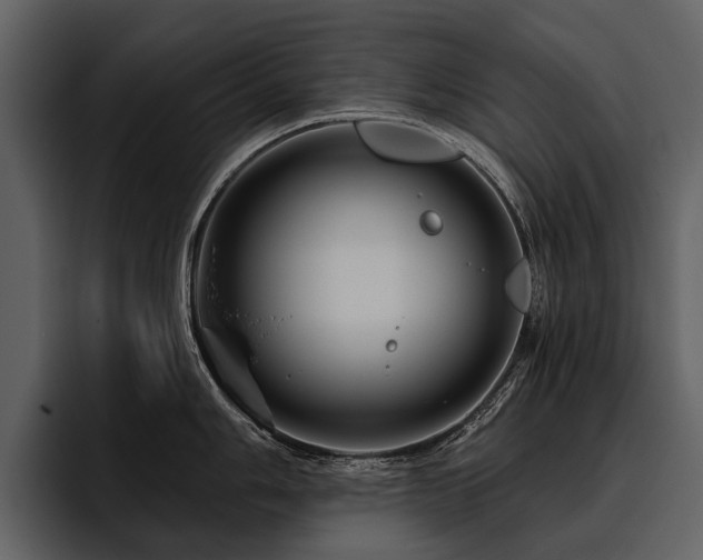 X0000095921006200801111231