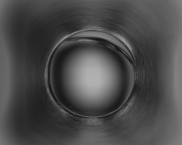 X0000095921007200801111231