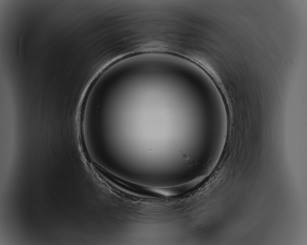 X0000095921008200801111231