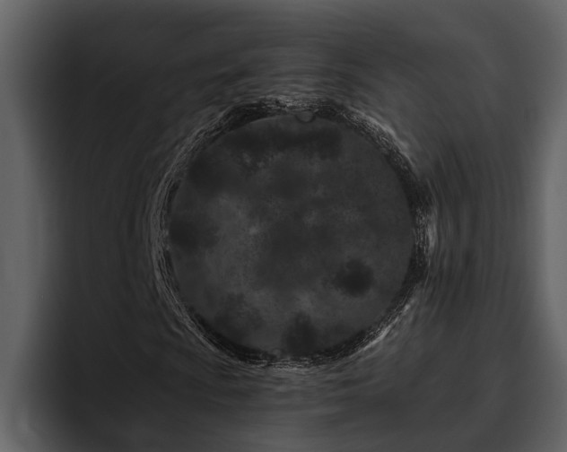 X0000095921009200801111231