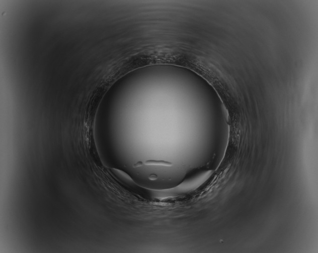 X0000095921010200801111231