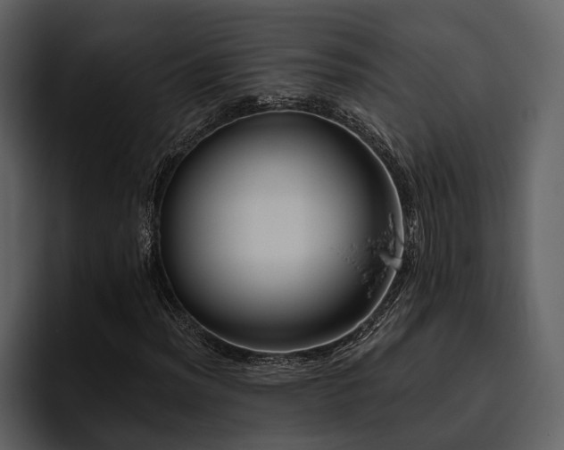 X0000095921012200801111231