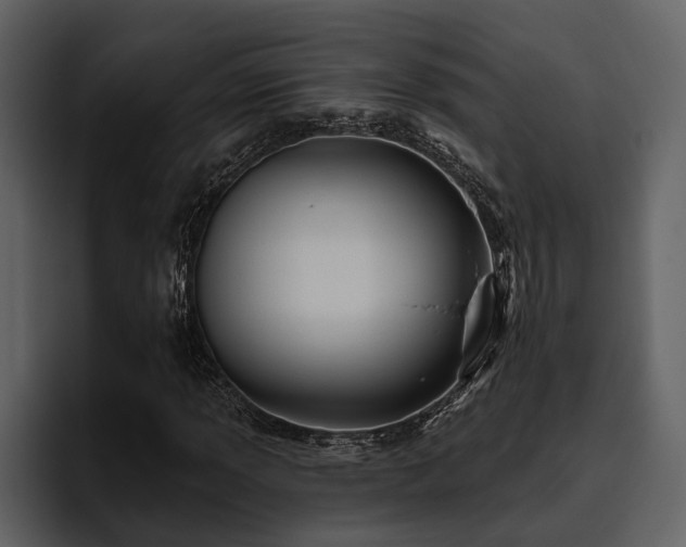 X0000095921013200801111231