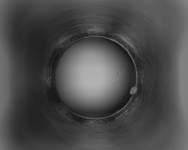 X0000095921015200801111231
