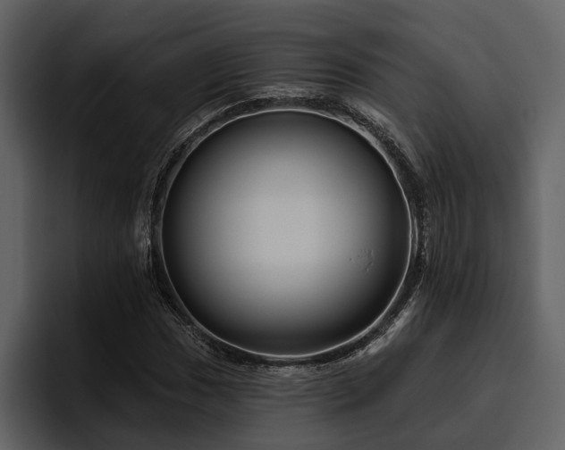 X0000095921017200801111231