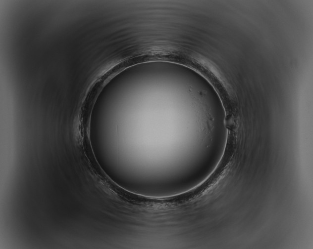 X0000095921018200801111231