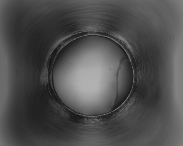 X0000095921019200801111231