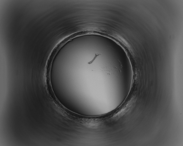 X0000095921020200801111231