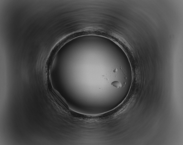 X0000095921021200801111231