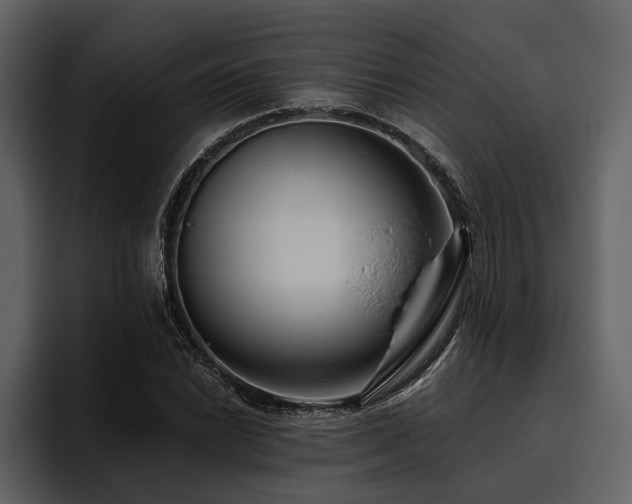 X0000095921022200801111231