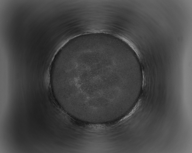 X0000095921023200801111231