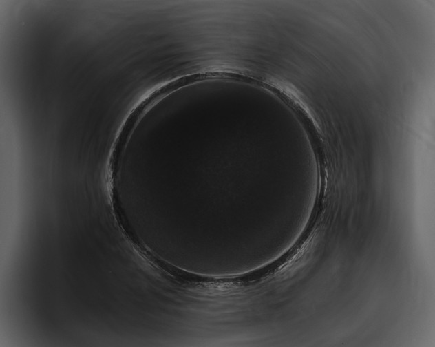 X0000095921024200801111231
