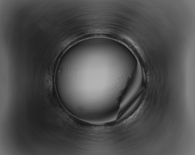 X0000095921025200801111231
