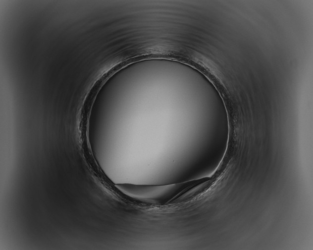 X0000095921026200801111231