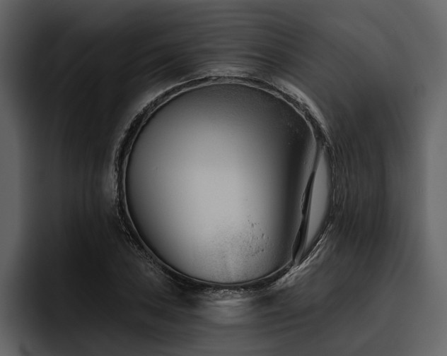 X0000095921027200801111231