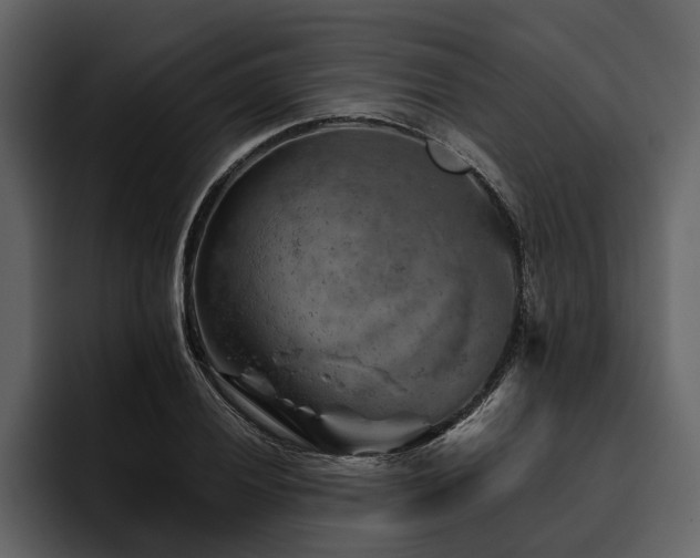 X0000095921028200801111231