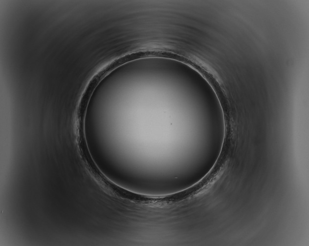 X0000095921029200801111231