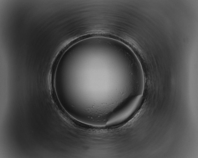 X0000095921030200801111231