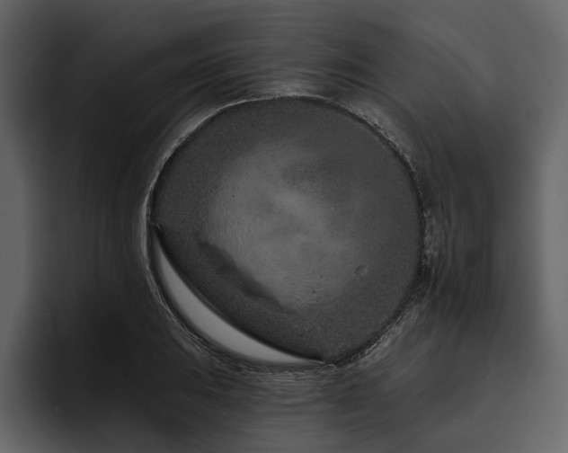 X0000095921031200801111231