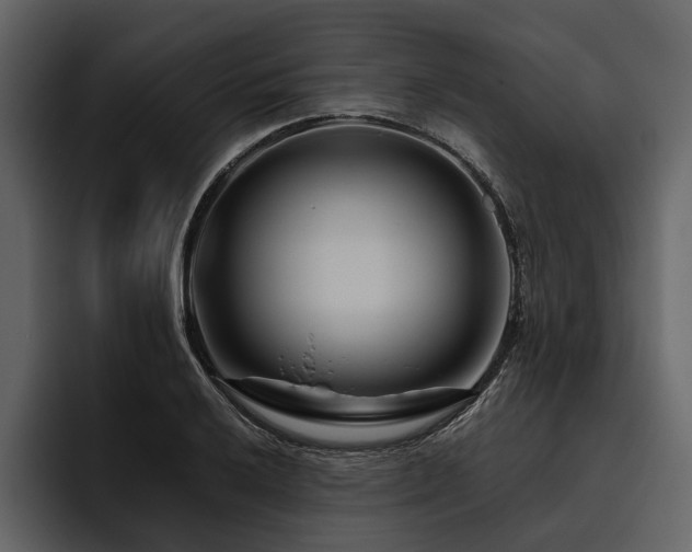 X0000095921032200801111231