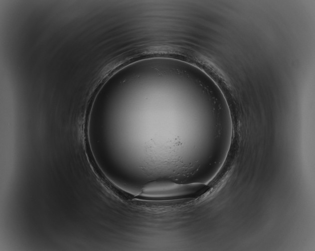 X0000095921033200801111231