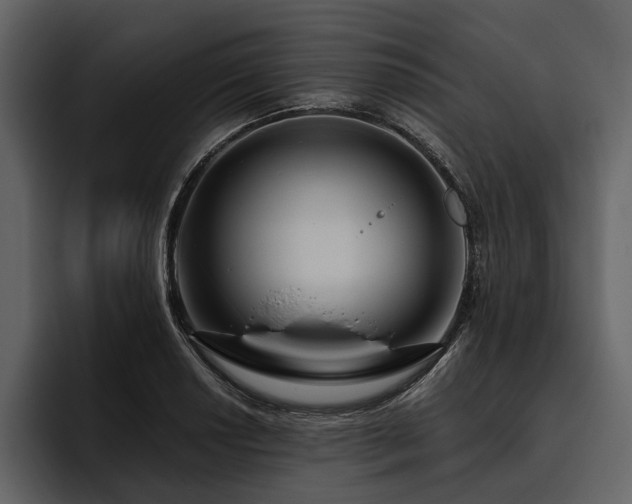 X0000095921034200801111231