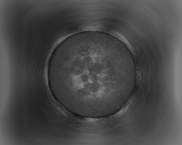 X0000095921035200801111231