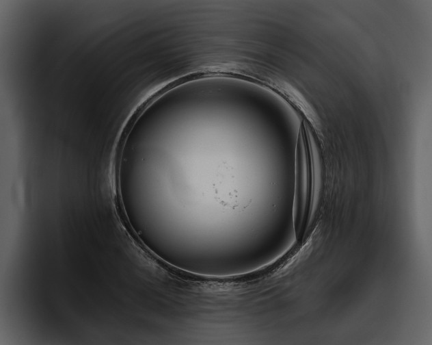 X0000095921036200801111231