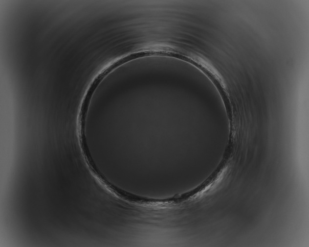 X0000095921037200801111231