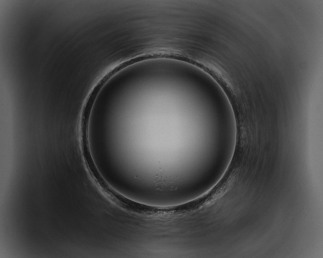 X0000095921038200801111231