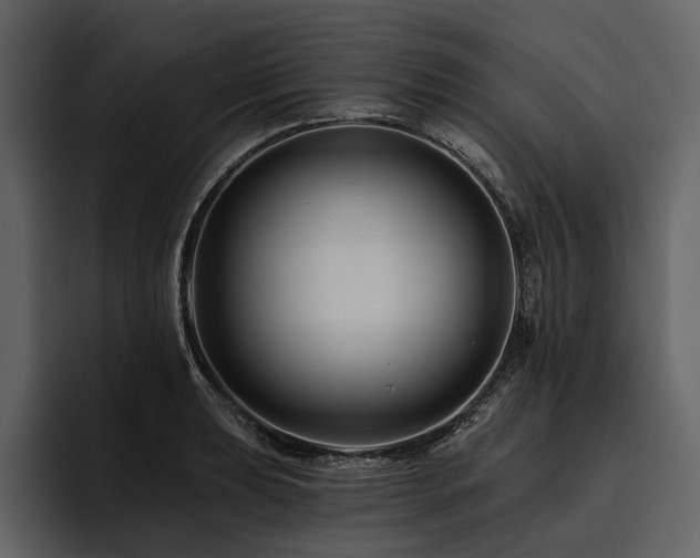 X0000095921039200801111231
