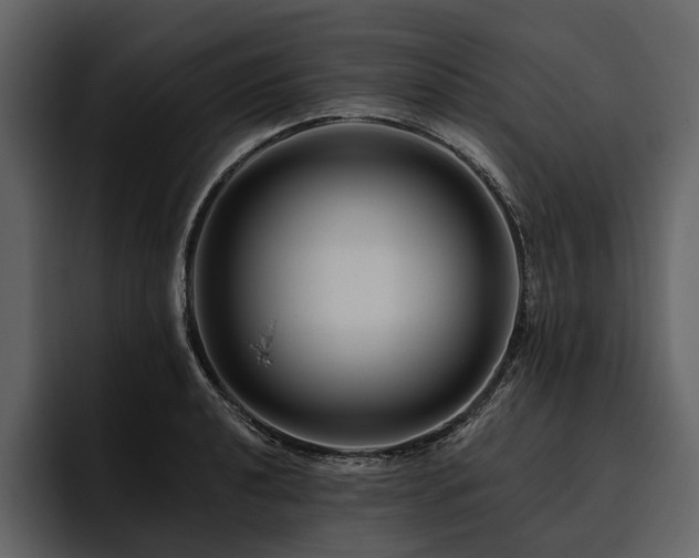 X0000095921040200801111231