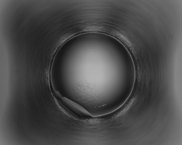 X0000095921041200801111231