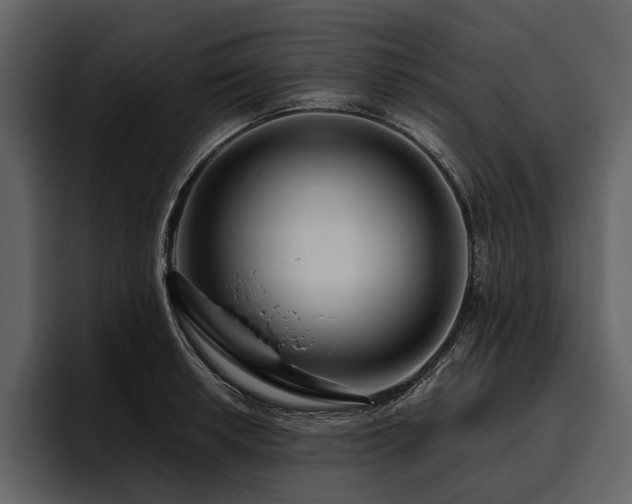 X0000095921042200801111231