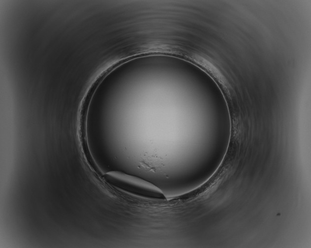 X0000095921043200801111231