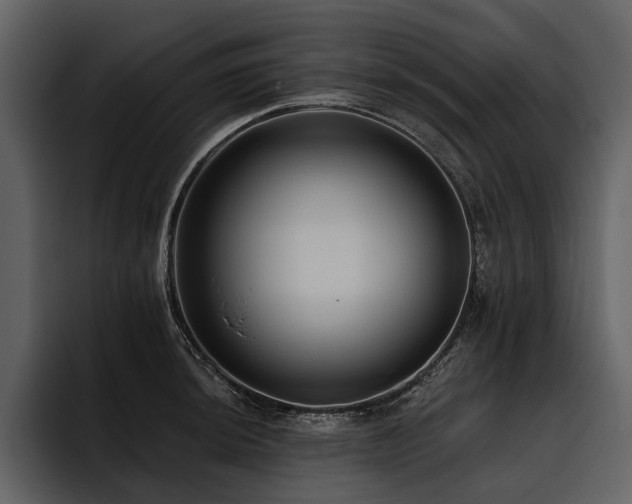 X0000095921044200801111231