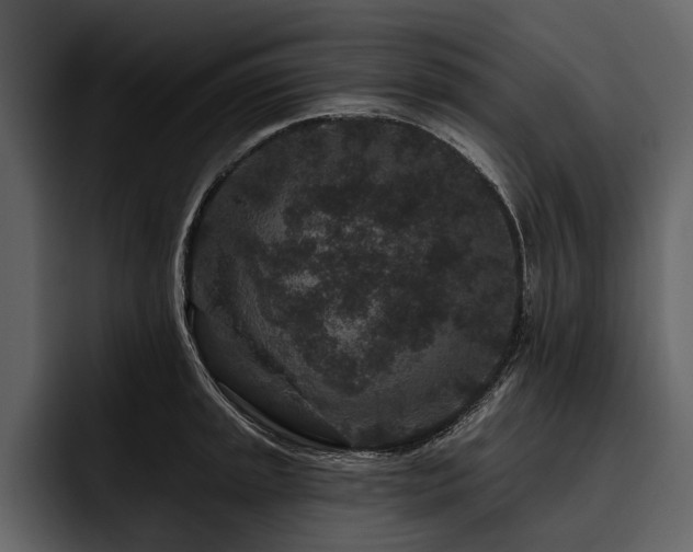 X0000095921045200801111231