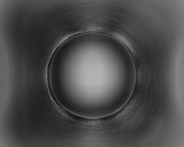 X0000095921047200801111231