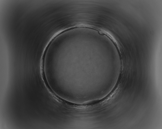 X0000095921048200801111231