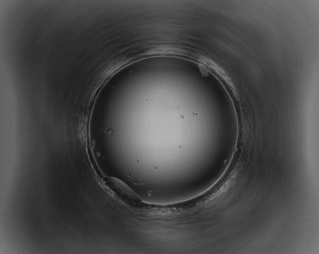 X0000095921049200801111231