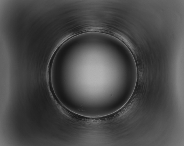 X0000095921050200801111231
