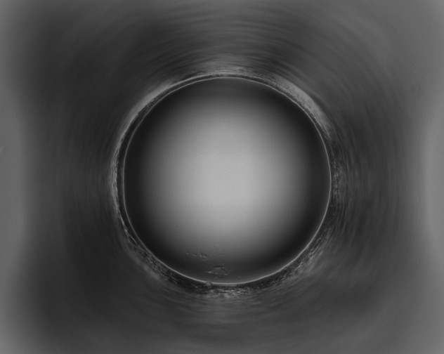 X0000095921051200801111231