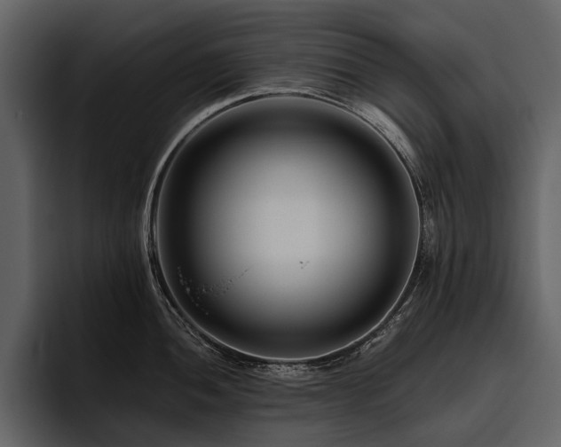 X0000095921052200801111231