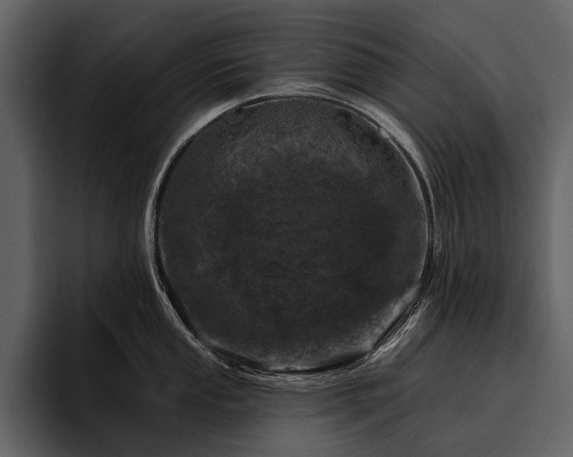 X0000095921053200801111231