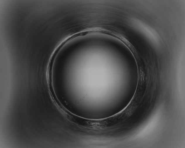 X0000095921054200801111231